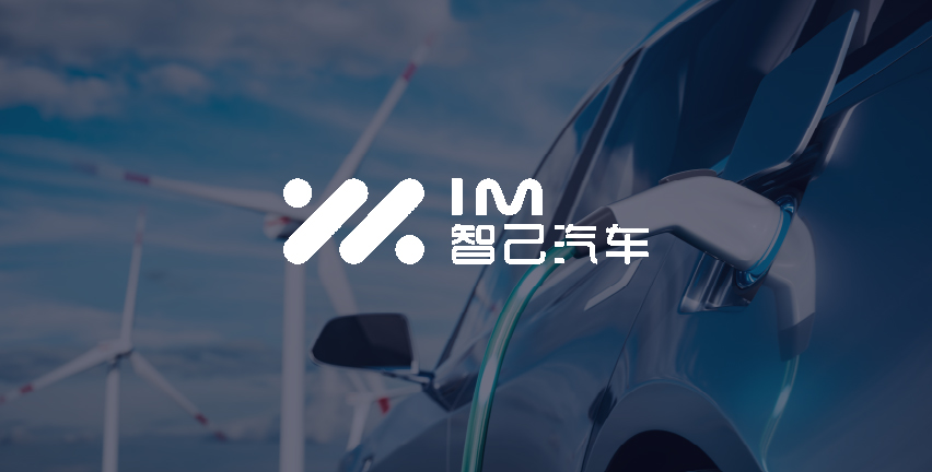 IM Motor